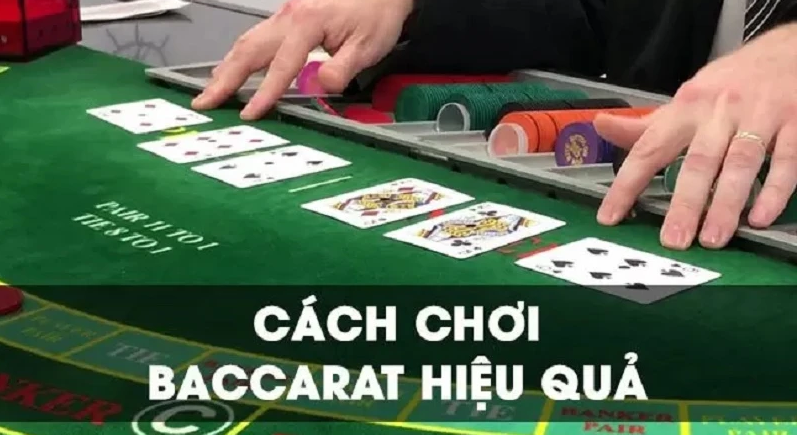 Cách chơi Baccarat cực DỄ HIỂU từ Cao Thủ 5 năm trong nghề